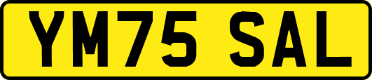YM75SAL