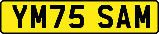 YM75SAM
