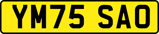 YM75SAO