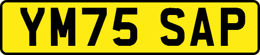 YM75SAP