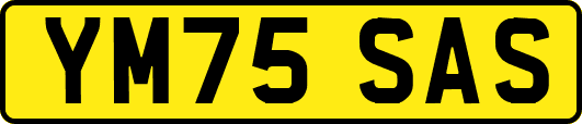 YM75SAS