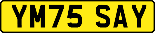 YM75SAY