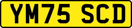 YM75SCD