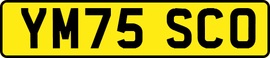 YM75SCO