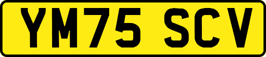 YM75SCV