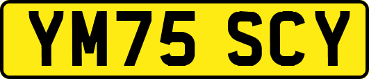 YM75SCY