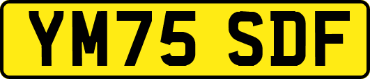 YM75SDF