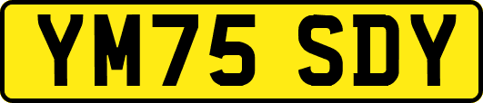 YM75SDY