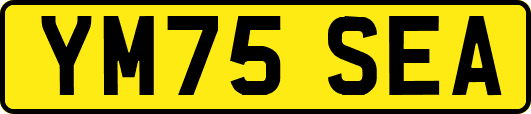 YM75SEA