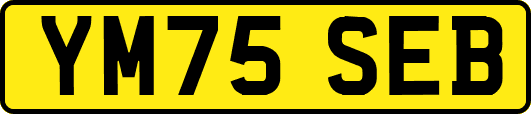 YM75SEB