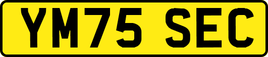 YM75SEC