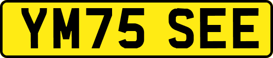 YM75SEE