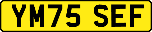 YM75SEF