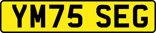 YM75SEG