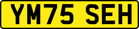 YM75SEH