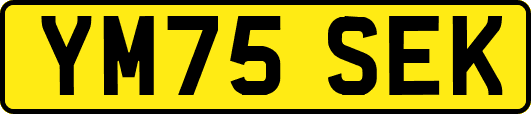 YM75SEK