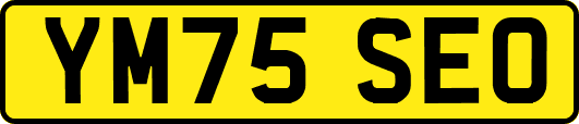 YM75SEO
