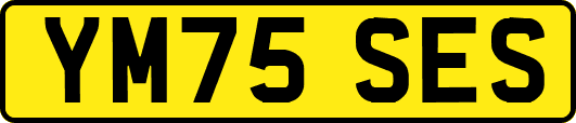 YM75SES