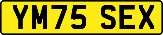 YM75SEX