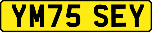 YM75SEY