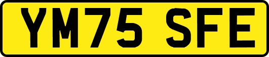 YM75SFE