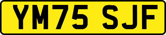 YM75SJF