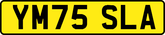 YM75SLA