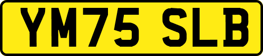 YM75SLB