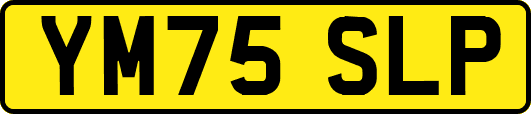 YM75SLP