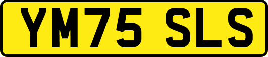 YM75SLS