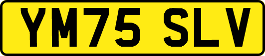 YM75SLV