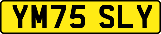 YM75SLY