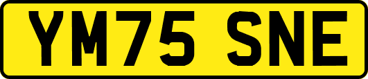 YM75SNE