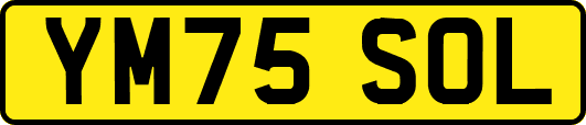 YM75SOL
