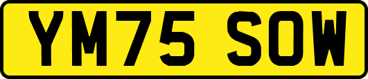 YM75SOW