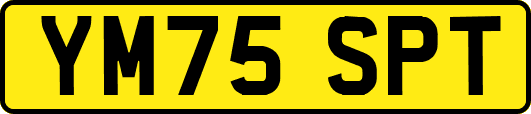 YM75SPT