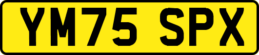 YM75SPX