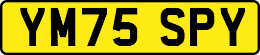 YM75SPY