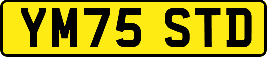 YM75STD