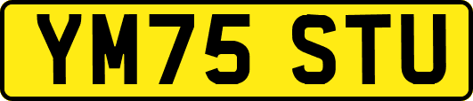 YM75STU