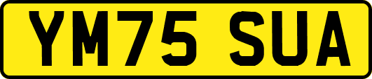 YM75SUA