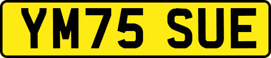 YM75SUE