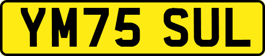 YM75SUL