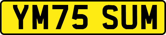 YM75SUM