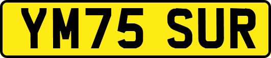 YM75SUR