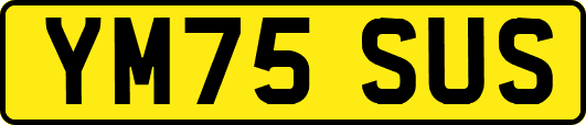 YM75SUS