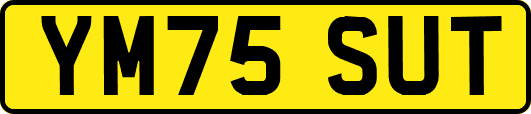 YM75SUT