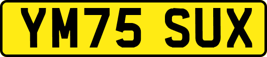 YM75SUX
