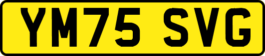 YM75SVG