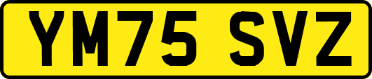 YM75SVZ